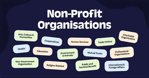 nonprofit big bet|How to Position Your Nonprofit Organization for a Big Bet.